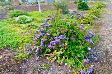 Los Acuerdos de Custodia y la sociedad civil/TA.